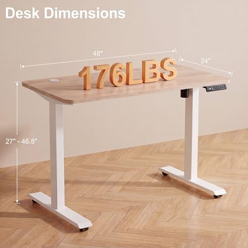 48'' × 24'' Height Adjustable Electric Standing Desk with Wheels