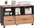 2 Drawer File Cabinet for Home Office, Lockable Rolling Filing Cabinet with Adjustable Shelves, Wood Lateral File Cabinet with Lock, Printer Stand Office Storage Cabinet, Rustic Brown & Black