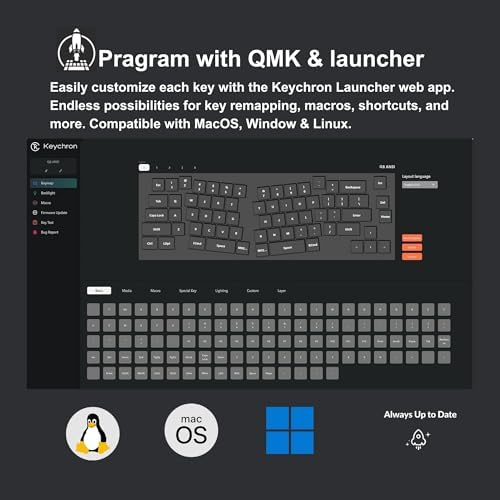 Keychron Q8 Wired Custom Mechanical Keyboard with Knob, 65% Alice Layout QMK/VIA Programmable, Hot-swappable Gateron G Pro Blue Switch, Double Gasket Compatible with Mac Windows Linux (Silver Grey)