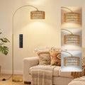 Ambimall Rustic Arc Floor Lamp, Color Temp and Brightness Adjustable, Gold