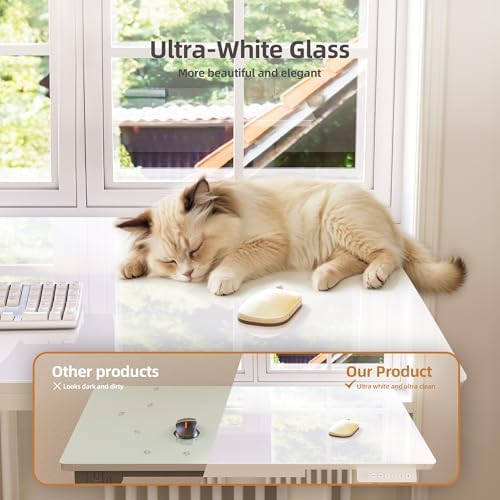 INNOVAR Glass Standing Desk with Drawers 32 x 19 Inch Super White