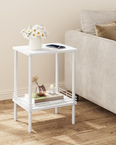 DGSANDGO Modern Small Side Table with Storage, 2-Tier White End Table
