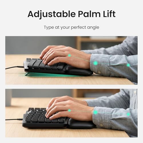 Nulea Ergonomic Split Keyboard Wired with Curved Layout and Palm Rest