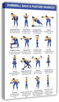 Dumbbell Back And Posture Workout Upper Back Strength Training Exercises Chart Beginner Friendly Fitness Canvas Poster Bedroom Decor Room Decor Frame 12x18inch