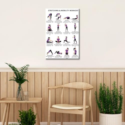 Stretching & Mobility Workout Poster, 16 Illustrated Full-Body Flexibility Chart with Timed Hold Guides, Bodyweight Daily Stretch Reference for Desk Soreness & Post-Workout Joint Recovery(20x30inchs，Black Framed)