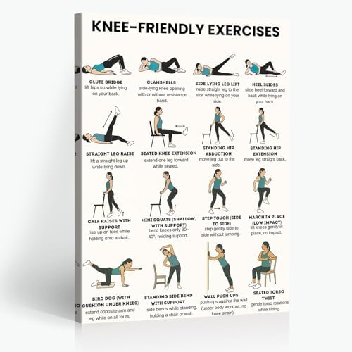 Knee-Friendly Low Impact Workout Poster, 16 Illustrated Joint-Safe Leg & Core Training Chart, Chair Supported Gentle Exercise Reference for Sensitive Knee Rehabilitation & Senior Home Fitness(16x24inchs，Wrapped Framed)