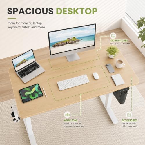 40"x24" Electric Standing Desk, Height Adjustable Desk