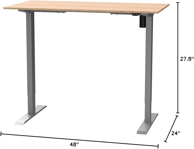FLEXISPOT EN1 Bamboo Standing Desk, 48 x 24 Inches Whole-Piece Electric Height Adjustable Desk (Silver Frame + Bamboo Top, 2 Packages)