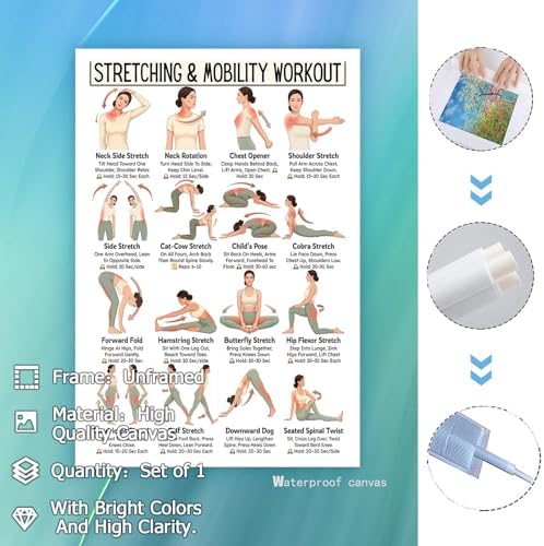 Stretching & Mobility Workout Poster, 16 Illustrated Full-Body Flexibility Training Chart with Hold Time Guides, Bodyweight Neck Hip Shoulder Stretch Reference for Post-Workout Recovery & Daily Mobility Improvement(20x30inchs，Unframed)