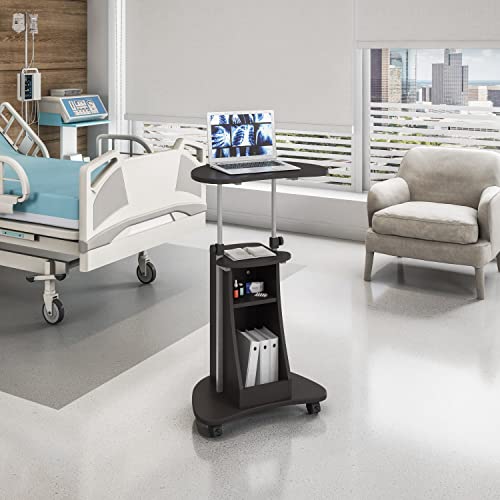 Adjustable Height Rolling Laptop Cart with Storage, Graphite