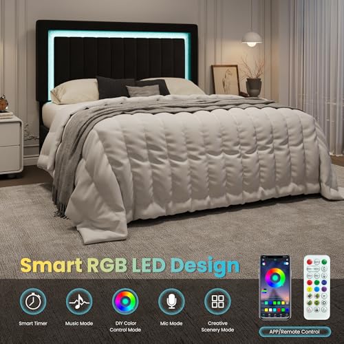 Queen Size Velvet Bed Frame with LED Light, Black