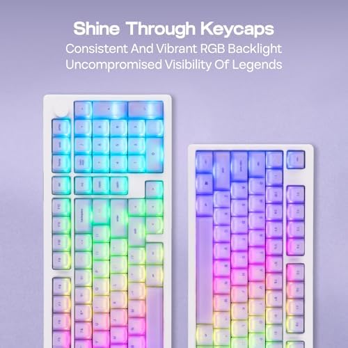 EPOMAKER AegisSil Keycap Set, Silicone Material, Cherry Profile, 113 Keys, 65%/75%/Full Size, Custom Keyboard Keycaps Set for Cherry MX, Kailh, Outemu, Gateron Mechanical Gaming Keyboard (Purple)