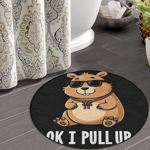 Circular Rugs Large Modern Round Area Rug Fashion Decor Mat for Home Office OK I Pull Up Capybara