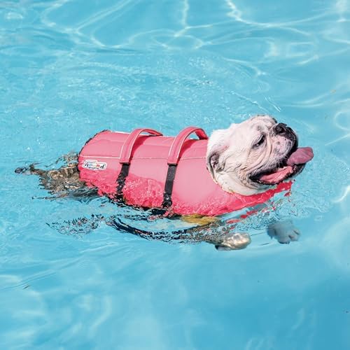 Outward Hound Granby Splash Dog Life Jacket, Life Vest, Pink, Medium
