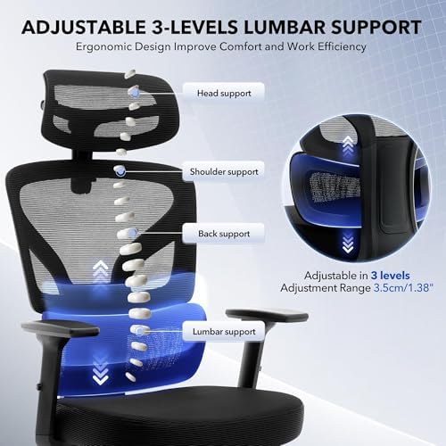 High Back Ergonomic Mesh Office Chair, 300LBS Heavy Duty Home Office Desk Chairs with Adjustable Lumbar Support,3D Armrest,Headrest, Comfortable Gaming Chair, Black