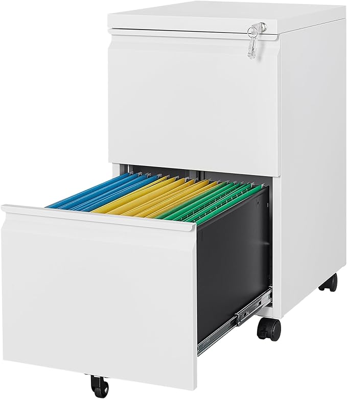 Letaya 2 Drawer Mobile File Cabinet with Lock,Under Desk Metal Filing Cabinets for Home Office Organizer Letters/Legal/A4(White-Requires Installation)