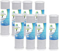 CFS – Carbon Block Water Filter Cartridge Compatible with Flow-Pur 8, WCBCS-975-RV Models – Removes Bad Taste and Odor (Pack of 8)