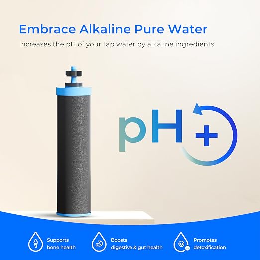 Waterdrop TK-AD Alkaline Gravity Water Filter System, Increase PH | Reduces Lead and Chlorine, with 2 Black Carbon Filters and Metal Spigot for Home, Camping, Travel, Emergencies, 2.25G