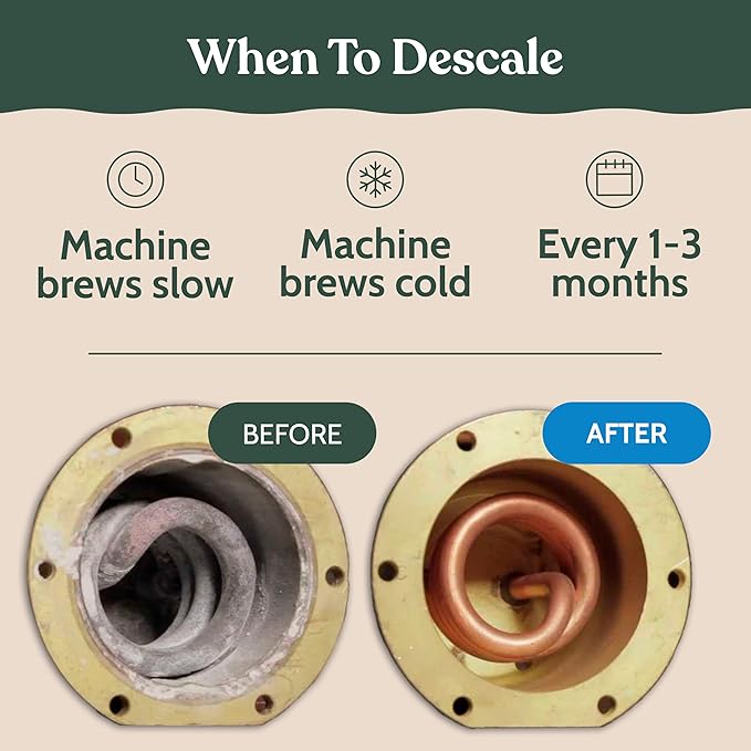Roobi Philips Compatible Descaling Solution & Cleaner. Specially Formulated for Philips Espresso Machines. Carbon Neutral Descaler Kit. 2 Uses per Bottle, 2 Pack