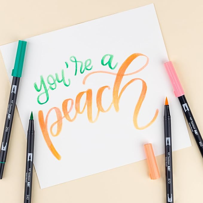 Tombow Dual Brush Pen, ABT, No. 991 (AB-T991)