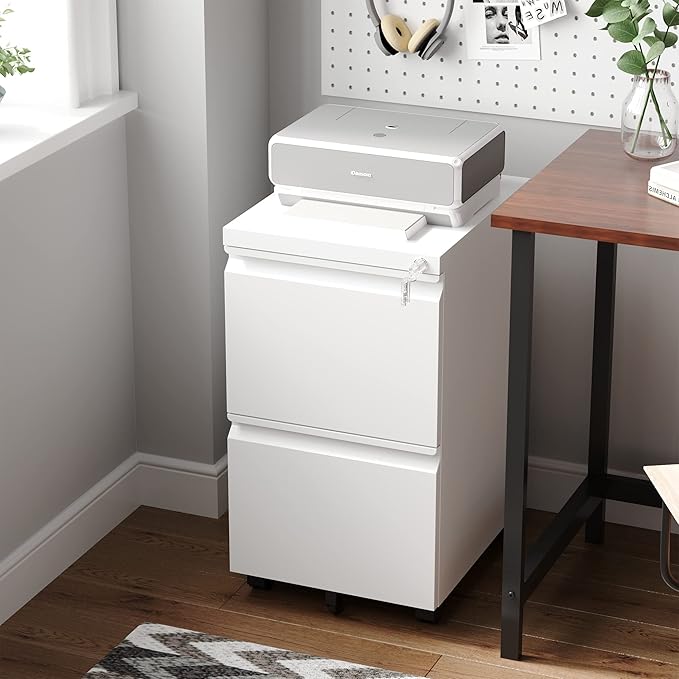 Letaya 2 Drawer Mobile File Cabinet with Lock,Under Desk Metal Filing Cabinets for Home Office Organizer Letters/Legal/A4(White-Requires Installation)