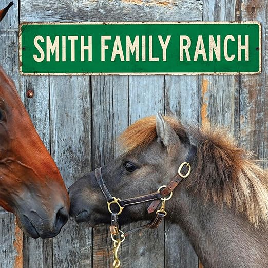 Custom Rustic Sign, Personalized Decor Street and Gift, 4x18 Inches, ACM, Fade Resistant, Made in USA
